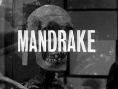 alternate title card: white all caps text reading ‘MANDRAKE’ superimposed on a low-angle view from inside the grave, showing the side of the coffin and flowers on top, with a hint of the sky above