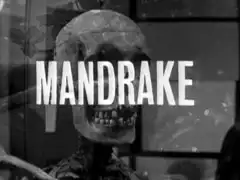 title card: white all caps text reading ‘MANDRAKE’ superimposed on a close-up of the skull of a doctor’s anatomical skeleton