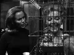 Cathy questions the loopy Mrs. Renter as the old lady chats to a bird in a cage