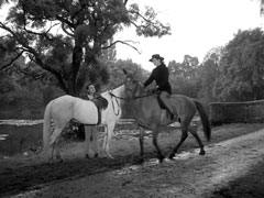 Steed, dismounted next to his grey, meets Mrs. Peel riding a chestnut mare