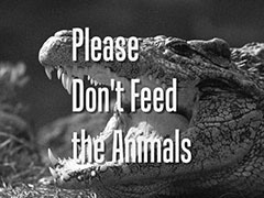 title card: Please don’t feed the animals superimposed on an open-mouthed crocodile (recreated by Richard McGinlay)