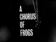 title card: white all caps text reading 'A CHORUS OF FROGS' superimposed on a black wetsuit with a golden frog hanging on a chain