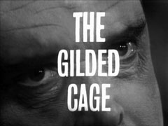 alternate title card: white all caps text reading ‘THE GILDED CAGE’ superimposed on a close-up of Spagge