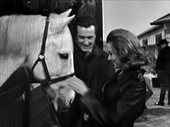 Cathy and Steed smile as they pat the horse in the stable door