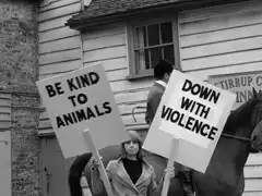 A unenthusiastic protester waves anti blood sports placards outside the pub where the Hunt is mustering