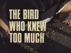title card: white all caps text with black dropshadow to the left reading ‘THE BIRD WHO KNEW TOO MUCH’ superimposed on Danvers lying on the floor of a fire-tower with bird seed spilling out of his jacket