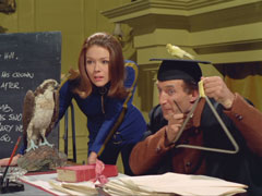 Emma leans forward over the desk, amazed by Jordan’s well-trained birds as he strikes a triangle to make one sing. He wears a mortar board with a yellow canary glued to the top