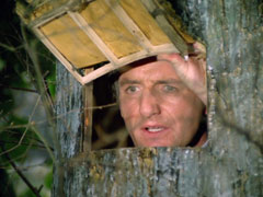 Burton peers out from his false tree hide and admonishes Tara King for tackling Steed
