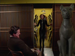 Steed, strapped to a chair, is relieved to see Mrs. Peel burst in and rush down the corridor between the soon-to-be lethal cats, a large cat statue is on the right